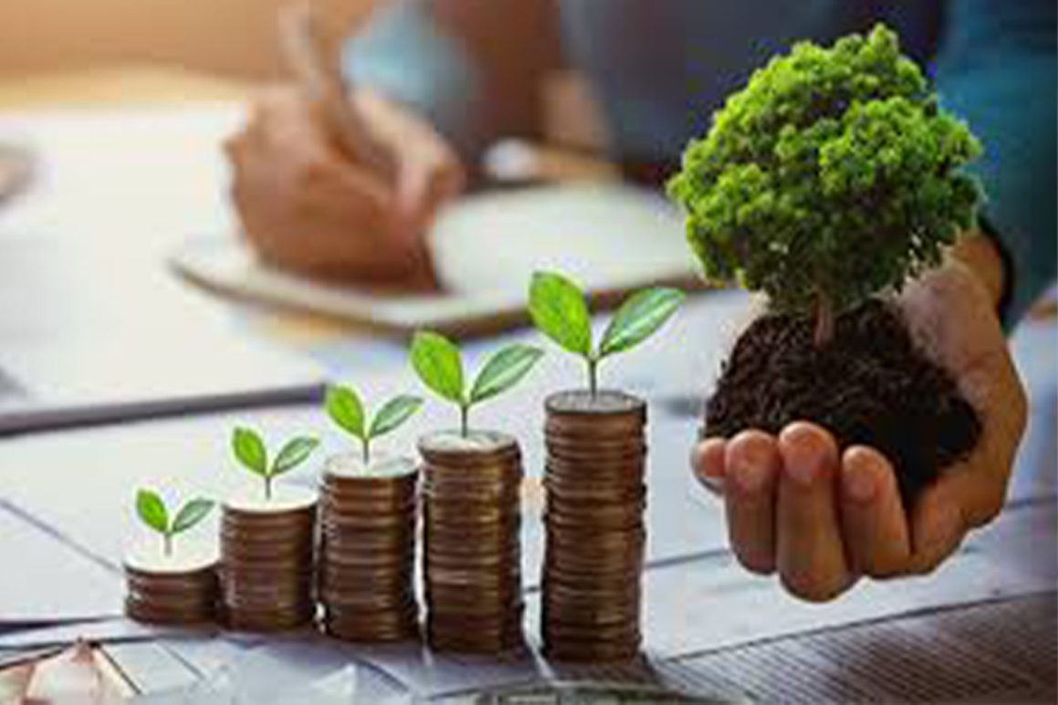 Learn how banks in Uganda are funding eco-friendly projects