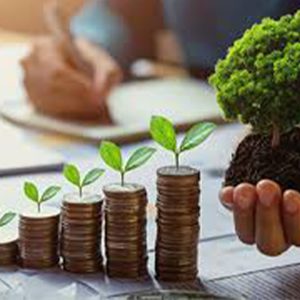 Learn how banks in Uganda are funding eco-friendly projects