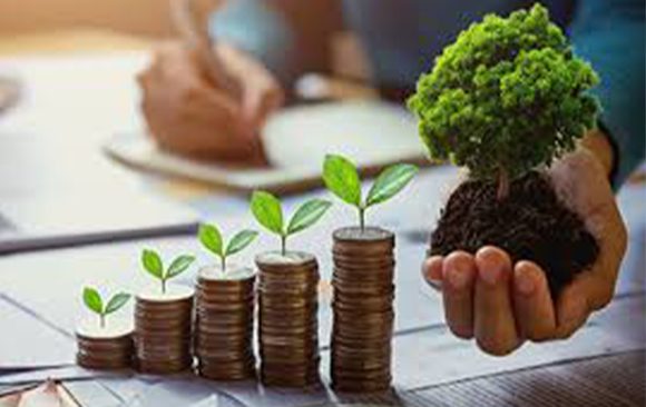 Learn how banks in Uganda are funding eco-friendly projects