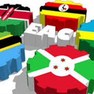 Understand Uganda’s position in the proposed East African currency integration.